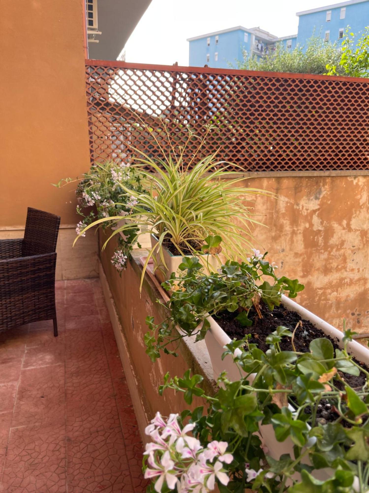 Oleander Apartment Castellammare di Stabia Extérieur photo
